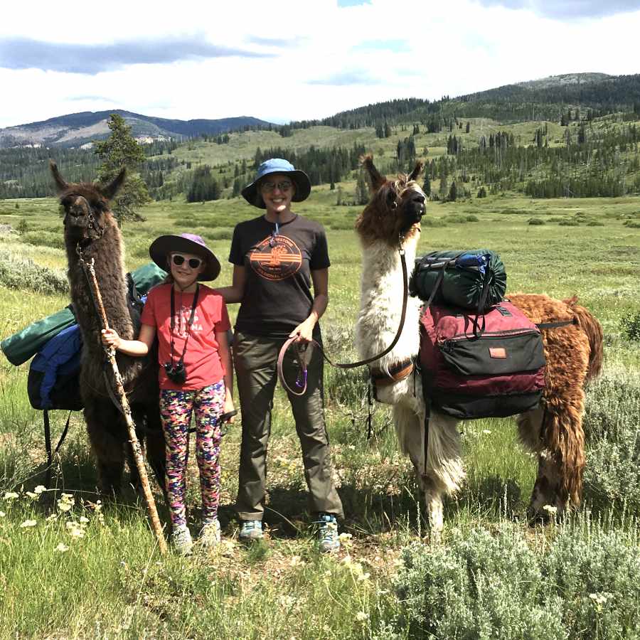 Yellowstone Llamas Yellowstone Park Llama Treks Outfitting Company